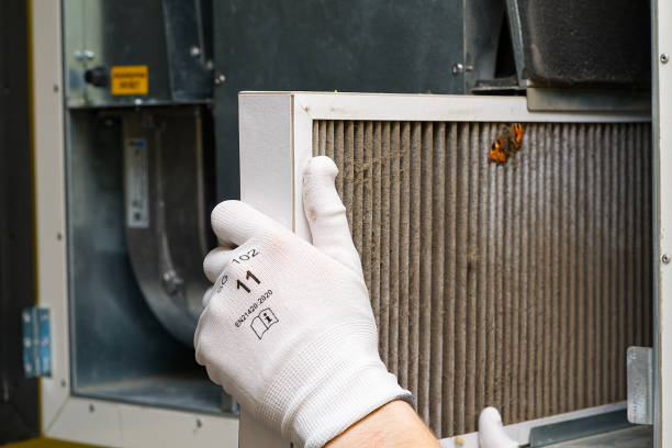Best Professional Duct Cleaning Services  in New Baden, IL