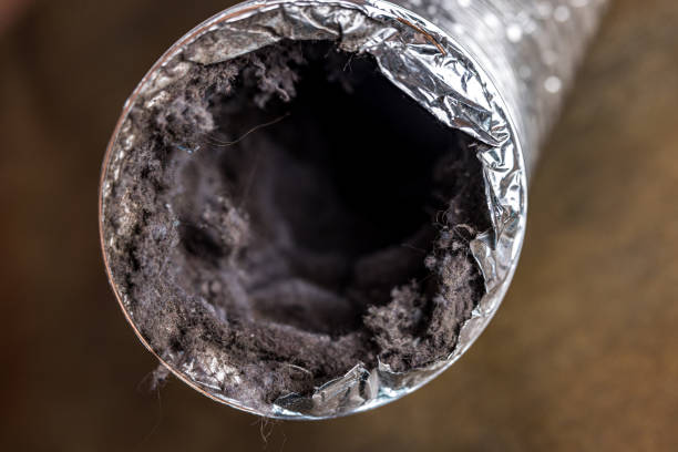 Best Air Duct Cleaning Near Me  in New Baden, IL