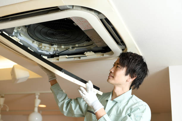 Best Air Duct Mold Removal  in New Baden, IL